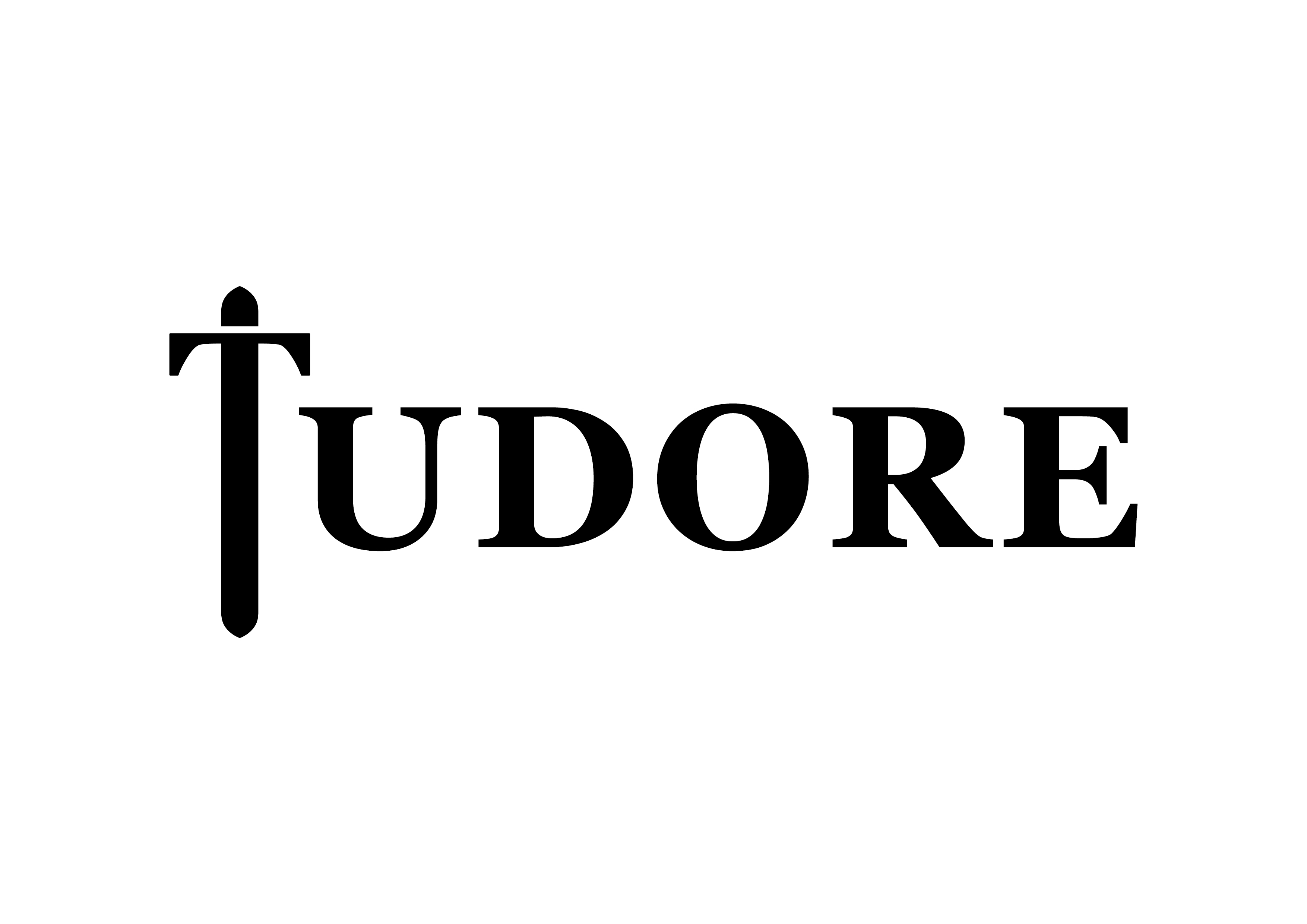 TUDORE_logo__02 odnos RGB-03